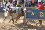 Los toros de Laurentino Carrascosa