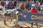 Los toros de Laurentino Carrascosa
