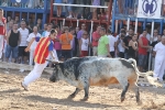 Los toros de Laurentino Carrascosa