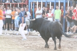 Los toros de Laurentino Carrascosa