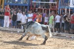 Los toros de Laurentino Carrascosa