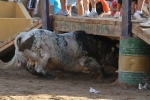 Los toros de Laurentino Carrascosa