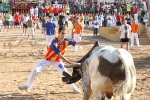 Los toros de Laurentino Carrascosa