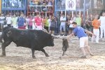 Los toros de Laurentino Carrascosa