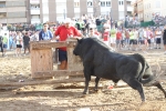 Orueva de Los toros de Laurentino Carrascosa 