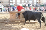 Orueva de Los toros de Laurentino Carrascosa 