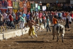 Orueva de Los toros de Laurentino Carrascosa 