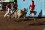 Orueva de Los toros de Laurentino Carrascosa 