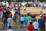 Orueva de Los toros de Laurentino Carrascosa 