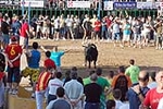 Orueva de Los toros de Laurentino Carrascosa 