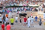 Orueva de Los toros de Laurentino Carrascosa 