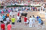Orueva de Los toros de Laurentino Carrascosa 