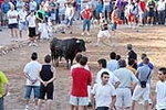 Orueva de Los toros de Laurentino Carrascosa 