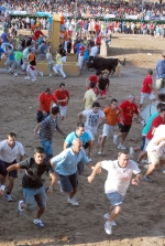 Orueva de Los toros de Laurentino Carrascosa 