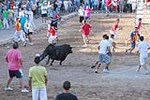 Orueva de Los toros de Laurentino Carrascosa 