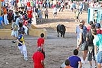 Orueva de Los toros de Laurentino Carrascosa 