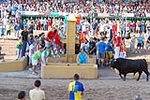 Orueva de Los toros de Laurentino Carrascosa 
