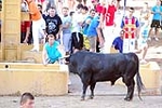 Orueva de Los toros de Laurentino Carrascosa 