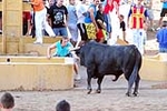Orueva de Los toros de Laurentino Carrascosa 