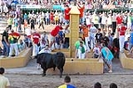 Orueva de Los toros de Laurentino Carrascosa 
