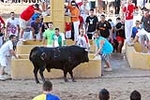 Orueva de Los toros de Laurentino Carrascosa 