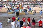 Orueva de Los toros de Laurentino Carrascosa 