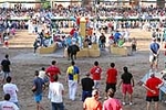 Orueva de Los toros de Laurentino Carrascosa 