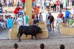 Orueva de Los toros de Laurentino Carrascosa 