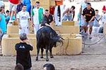Orueva de Los toros de Laurentino Carrascosa 