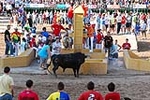 Orueva de Los toros de Laurentino Carrascosa 