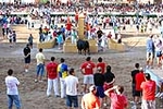 Orueva de Los toros de Laurentino Carrascosa 