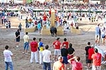 Orueva de Los toros de Laurentino Carrascosa 