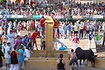 Orueva de Los toros de Laurentino Carrascosa 