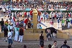 Orueva de Los toros de Laurentino Carrascosa 