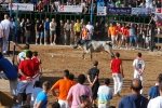 Orueva de Los toros de Laurentino Carrascosa 