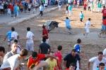 Orueva de Los toros de Laurentino Carrascosa 