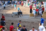 Orueva de Los toros de Laurentino Carrascosa 