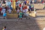 Orueva de Los toros de Laurentino Carrascosa 