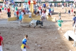 Orueva de Los toros de Laurentino Carrascosa 
