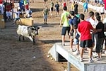 Orueva de Los toros de Laurentino Carrascosa 