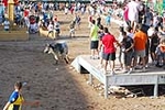 Orueva de Los toros de Laurentino Carrascosa 