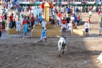 Orueva de Los toros de Laurentino Carrascosa 