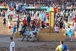 Orueva de Los toros de Laurentino Carrascosa 