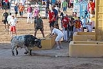Orueva de Los toros de Laurentino Carrascosa 