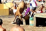 Las reses de Hermanos Benavent, las mejores