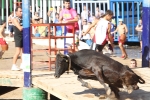 Las reses de Hermanos Benavent, las mejores