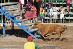 Las reses de Hermanos Benavent, las mejores
