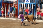 Las reses de Hermanos Benavent, las mejores