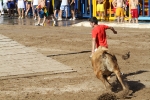 Las reses de Hermanos Benavent, las mejores