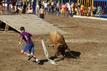 Las reses de Hermanos Benavent, las mejores